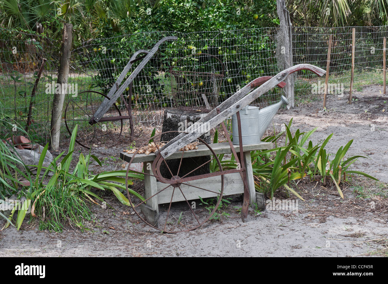 Marjorie Kinnan Rawlings Historic State Park, Cross Creek, Florida. Aratri a mano e annaffiatoio in Marjorie's garden. Foto Stock