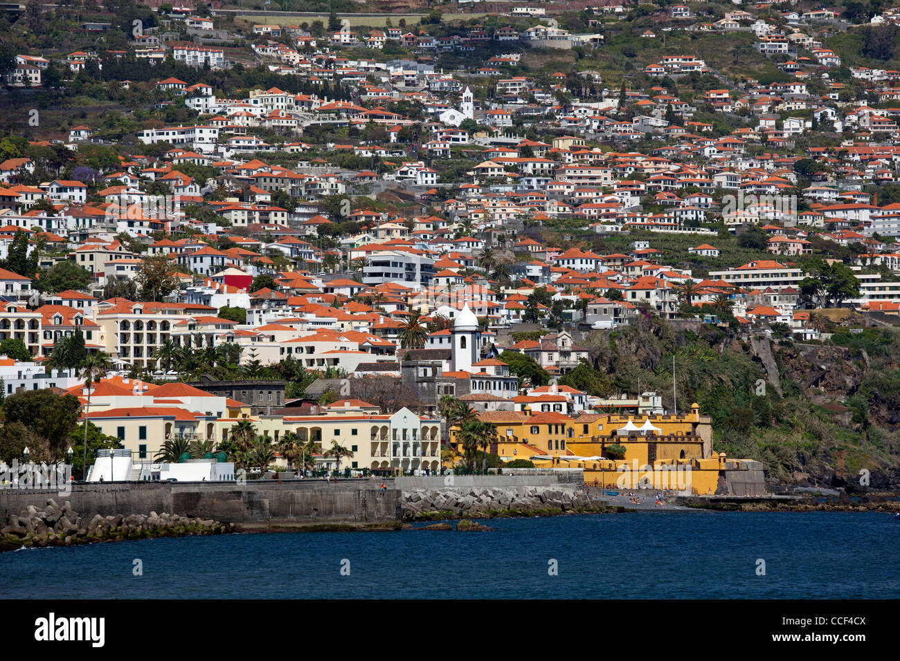 Funchal, Isola di Madeira, Portogallo Foto Stock