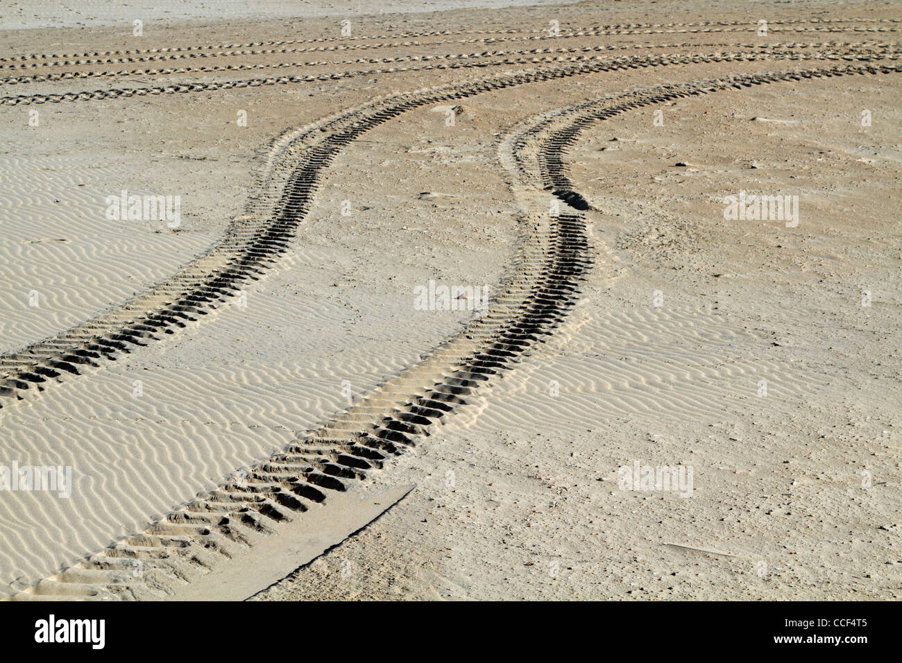 Tracce di pneumatici sulla spiaggia. Virginia Beach, VA, Stati Uniti d'America Foto Stock