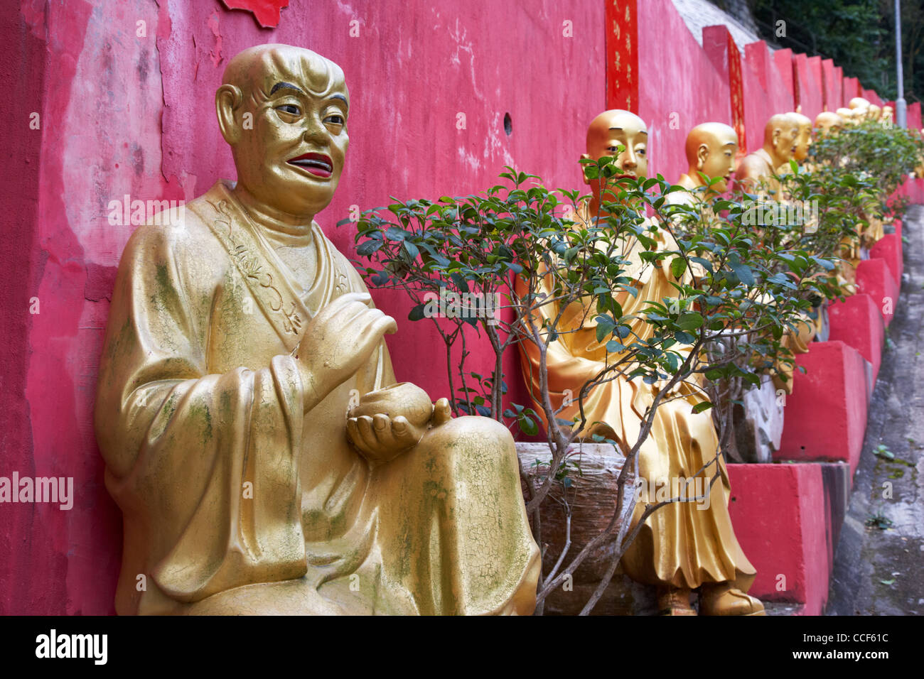 Varie statue di Buddha linea il ripido sentiero fino al monastero di diecimila buddha sha tin nuovi territori di Hong kong Foto Stock