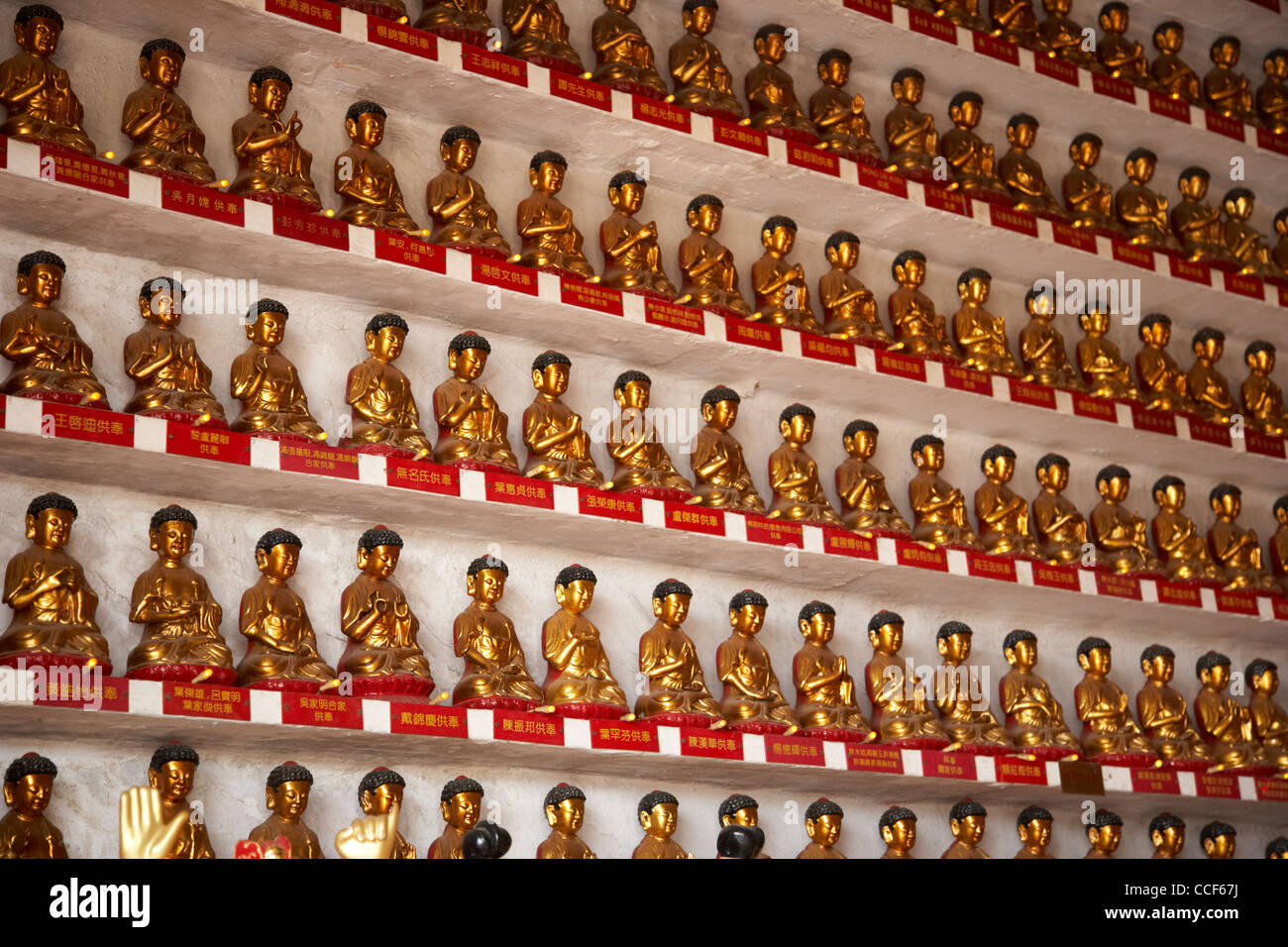 Centinaia di piccole Golden Statue di Buddha nel monastero di diecimila buddha sha tin nuovi territori di hong kong cina della RAS di Hong Kong Foto Stock