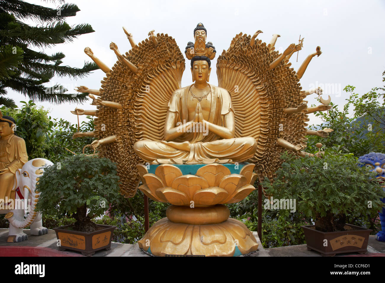 1000 armati buddha avalokitesvara il Monastero dei Diecimila Buddha sha tin nuovi territori di Hong kong RAS di Hong kong cina asia Foto Stock