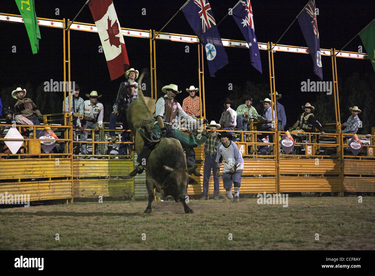Professional Bull concorso di equitazione, Cunnamulla, Queensland Foto Stock
