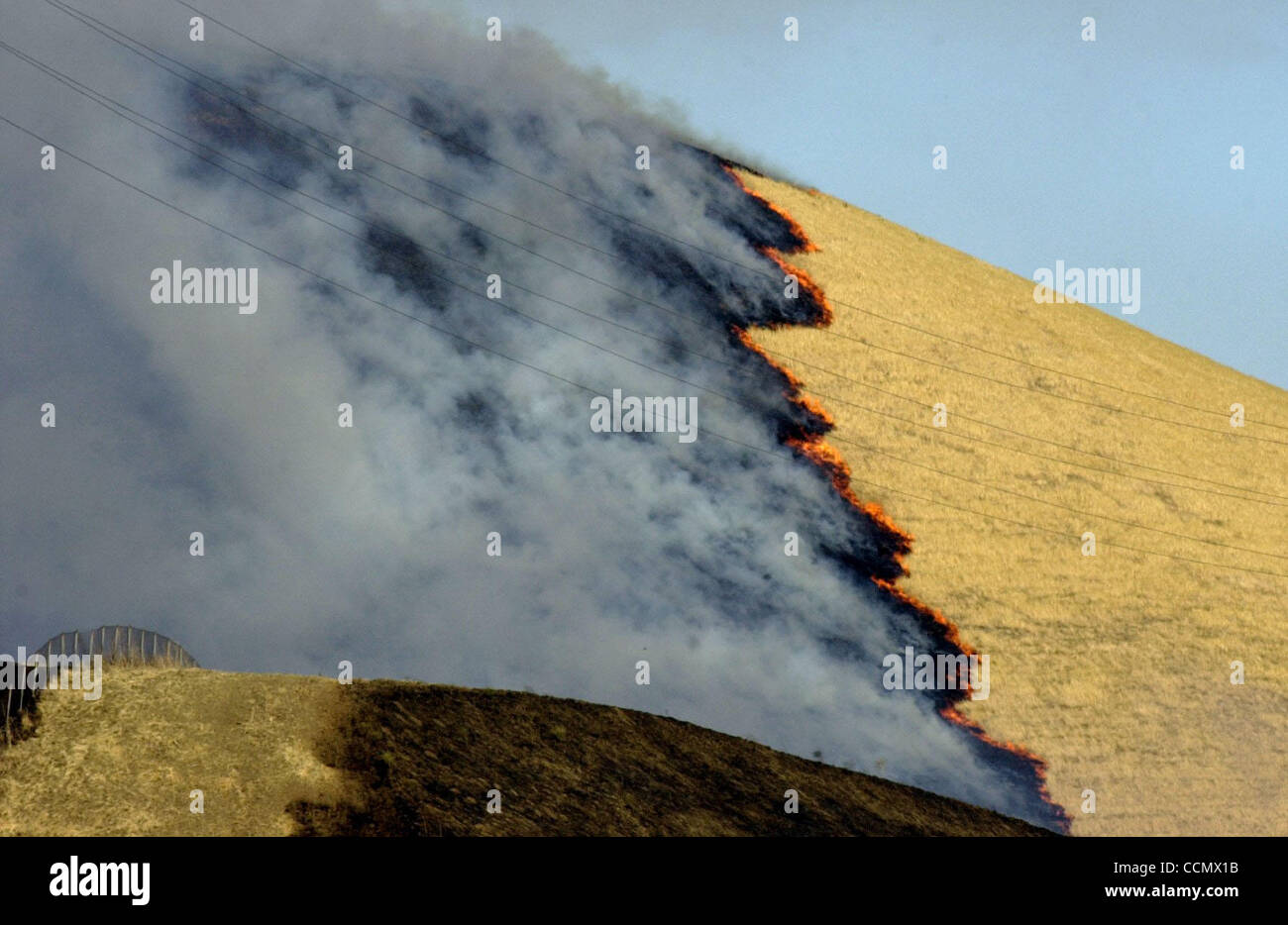 Un fuoco d'erba opere la sua strada giù per la collina verso l'autostrada 4 vicino al Alhambra Ave. uscire in Martinez, California il Venerdì, 25 giugno 2004. Due case sono state distrutte e almeno 250 acri di terreno sono stati bruciati in due distinti incendi. (Contra Costa Times/Mar Nam Ton) Foto Stock