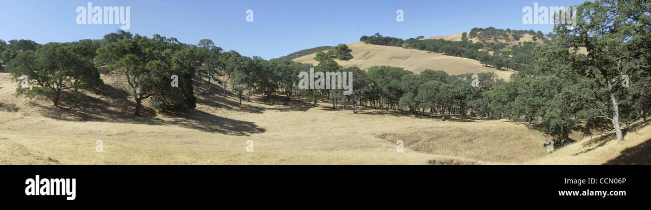 La città di Antiochia Consiglio dovrebbe opporsi a countywide imposta che dovrebbe fornire finanziamenti per la conservazione di spazio aperto e aree ricreative come questa terra attualmente in fase di negoziato con la East Bay parchi regionali. Questa area di terra e di altri simili considerato come spazio aperto siti è situato presso il Foto Stock