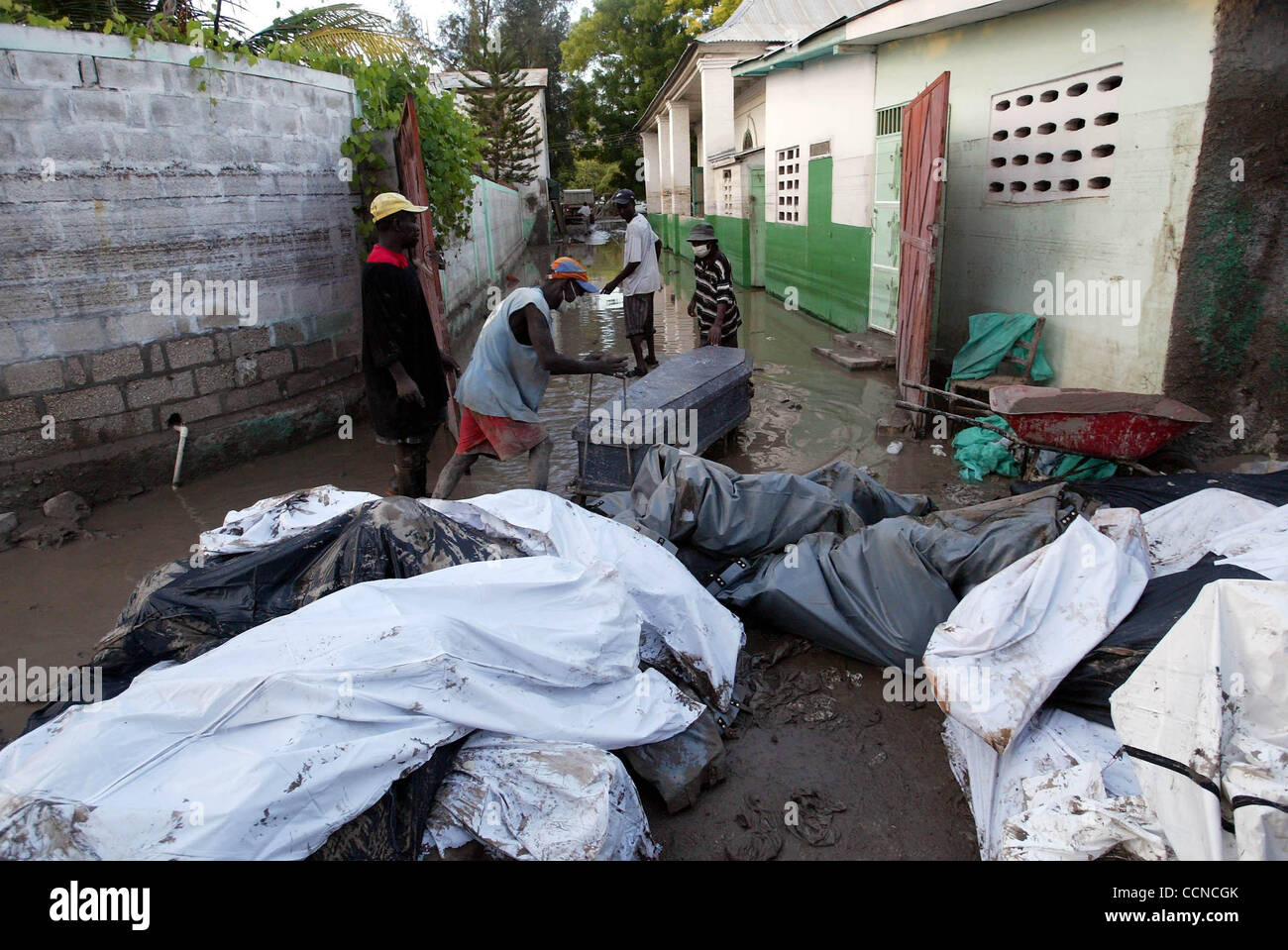 GONAIVES, HAITI; 9/21/04: parenti recuperare il corpo di un membro della famiglia da una pila di cadaveri in sacchi di corpo al di fuori della camera mortuaria presso il La Providence Hospital di Gonaives martedì sera. Oltre cento corpi erano in attesa di essere sepolto, secondo Erich Baumann dell'Intenational Croce Rossa. Egli ha detto il Foto Stock