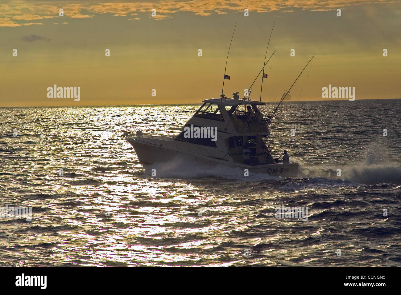 Auto Exotica-Bisbee's Black & Blue Marlin Tournament Ott 19-23-2004 CaboSanLucas, BC il più grande torneo di denaro in tutto il mondo. Totale premi in contanti $2,021,090.00 # di imbarcazioni iscritte 171 # di pescatori 773 Bill pesce pescato: 128 55 blue marlin, 8 black marlin, 56 striped marlin, 9 sailfish Bill pesce rilasciato Foto Stock