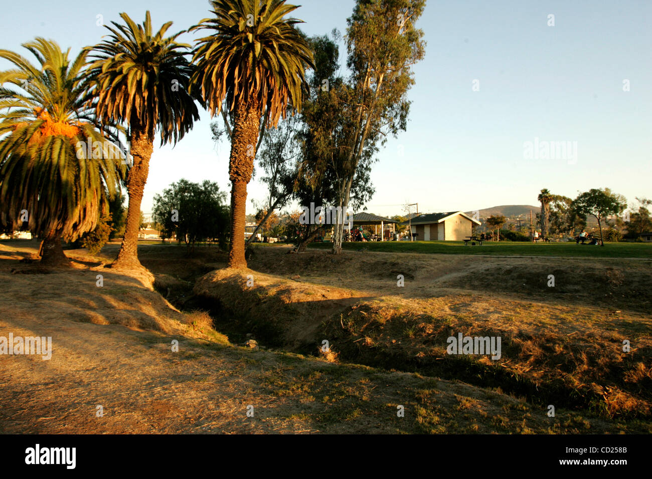 Novembre 19, 2008_Spring Valley, CA_palm maturo e pepe alberi e da un fossato, sono alcune delle caratteristiche delle aree sottosviluppate di Lamar Street Park nella valle di primavera._Laura Embry/San Diego Union-Tribune/Zuma Press, copyright 2007 San Diego Union-Tribune Foto Stock