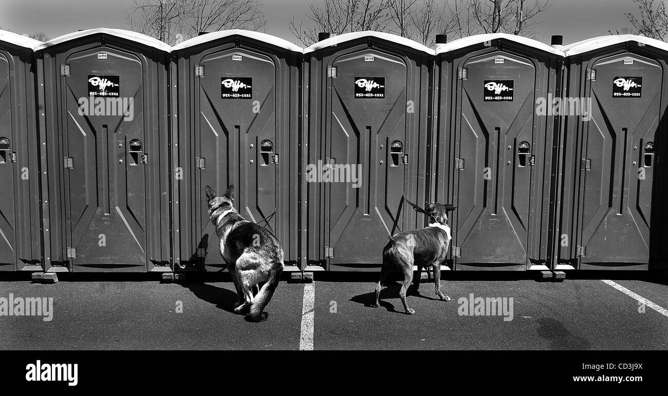 JIM GEHRZ Ã¯ jgehrz@startribune.com Golden Valley/Maggio 3, 2008/11:00] Due cani diligentemente attendono il loro maestri all'ANIMALE UMANO XXXIV SocietyÃ-s passeggiata annuale per gli animali il sabato mattina in Valle d'oro. La passeggiata che avvolto su un percorso di 5 chilometri di percorso attraverso Theodore Wirth Park, è un fondo annuale raisi Foto Stock