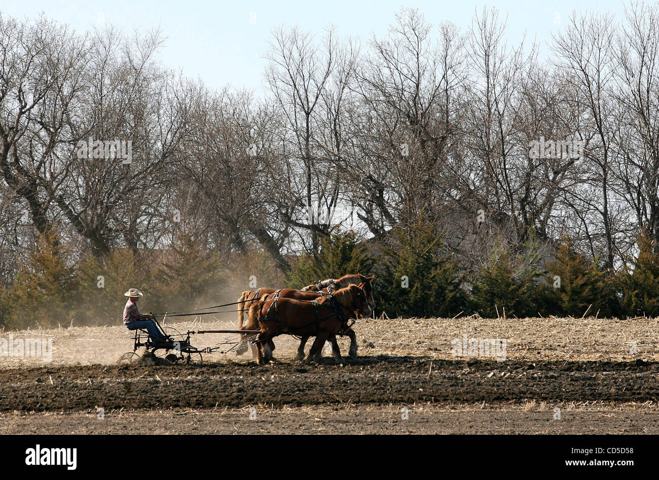 Apr 20, 2008 - parentela, il Dakota del Nord, Stati Uniti d'America - FULLER SHELDON di Mapleton, N.D., fu tra Wes Bettenhausen amici che si unisce a lui con il loro progetto a cavallo di un fondo aratri sul suo terreno coltivabile Sabato, nei pressi di parentela, North Dakota. (Credito Immagine: © Bruce scadente/ZUMA Premere) Restrizioni: * Minneapolis Foto Stock