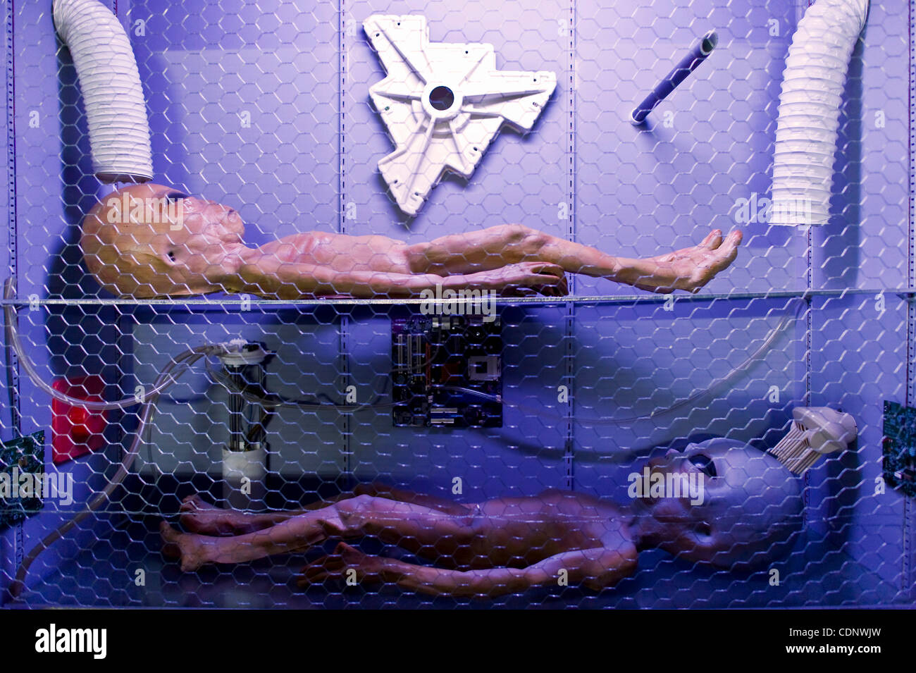 Il 1 luglio 2011 - Roswell, New Mexico, Stati Uniti d'America - una mostra presso la zona di alieni sul display durante l'annuale Roswell UFO Festival. Il 2011 segna il 64esimo anniversario dell'incidente di Roswell, la presunta scoperta di un crash Flying Saucer 30 miglia a nord di Roswell da cowboy W.W. 'Mac' Brazel e la putativa Foto Stock