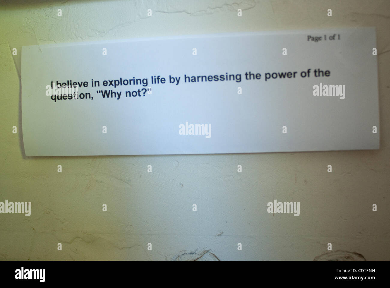 Giugno 17, 2011 - Fallbrook, la California, Stati Uniti - Token da Bill Warren's precedenti spedizioni adornano la sua scrivania. Bill Warren, 59, un auto-proclamato il cacciatore di tesori, i piani di ricerca per il corpo degli ex Al Qaeda leader Osama Bin Laden nel nord mare Arabico. Warren, chi dice che la spedizione sarà co Foto Stock
