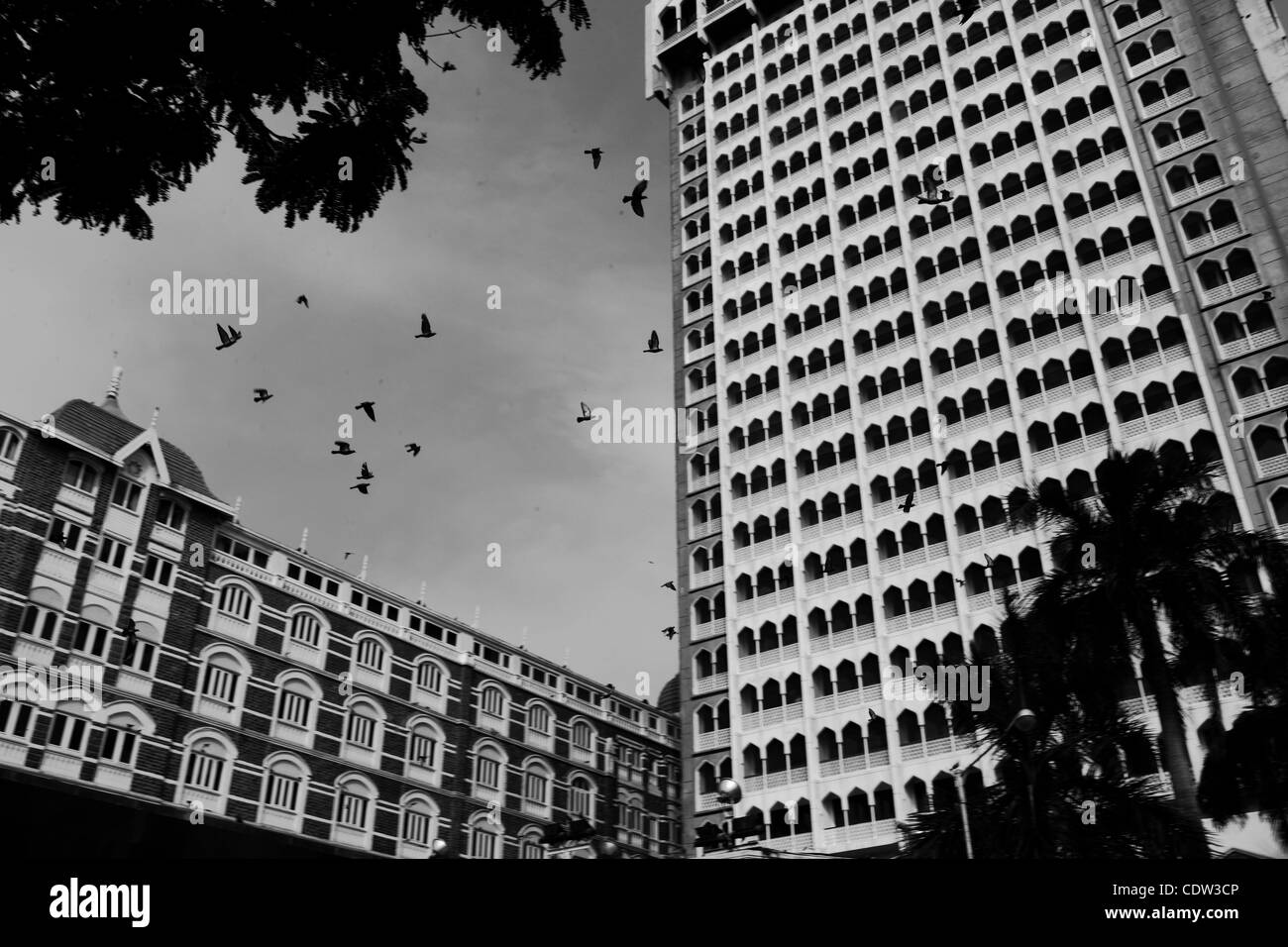 Il Taj Mahal Hotel Mumbai. Il Taj Hotel è stato il bersaglio di un attentato terroristico grave nel 2009. Da allora l'Hotel è stato completamente ristrutturato e funzionale. Foto Stock