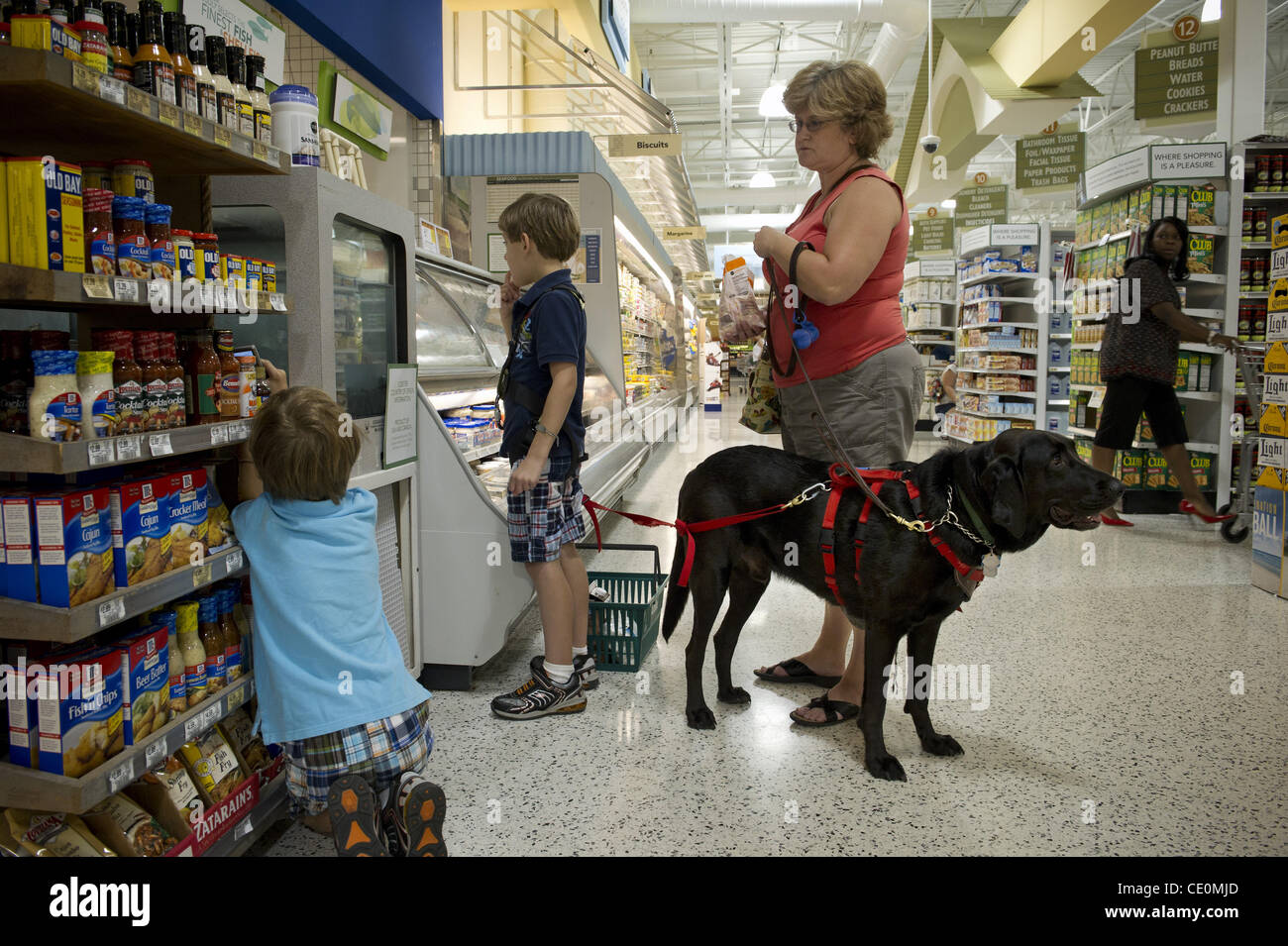 Agosto 27, 2011 - Marietta, GA - Jennifer Schwenker con figli Ben e Sam, twin ragazzi con autismo, è accompagnato da Barkley, il loro servizio cane, Publix in un negozio di alimentari. ..Mentre il servizio i cani sono legalmente autorizzati in quasi qualsiasi posizione, l'ignoranza della legge è molto diffusa negli Stati Uniti ..Jennifer Schwenke Foto Stock