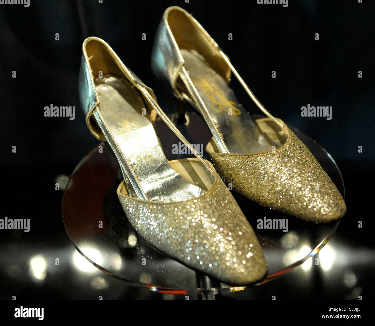 Emily Haines le scarpe di anteprima Media di JUNO Suola: Celebrando 40 anni di Juno Awards' presso il Bata Shoe Museum. Toronto, Canada - 09.11.10 Foto Stock