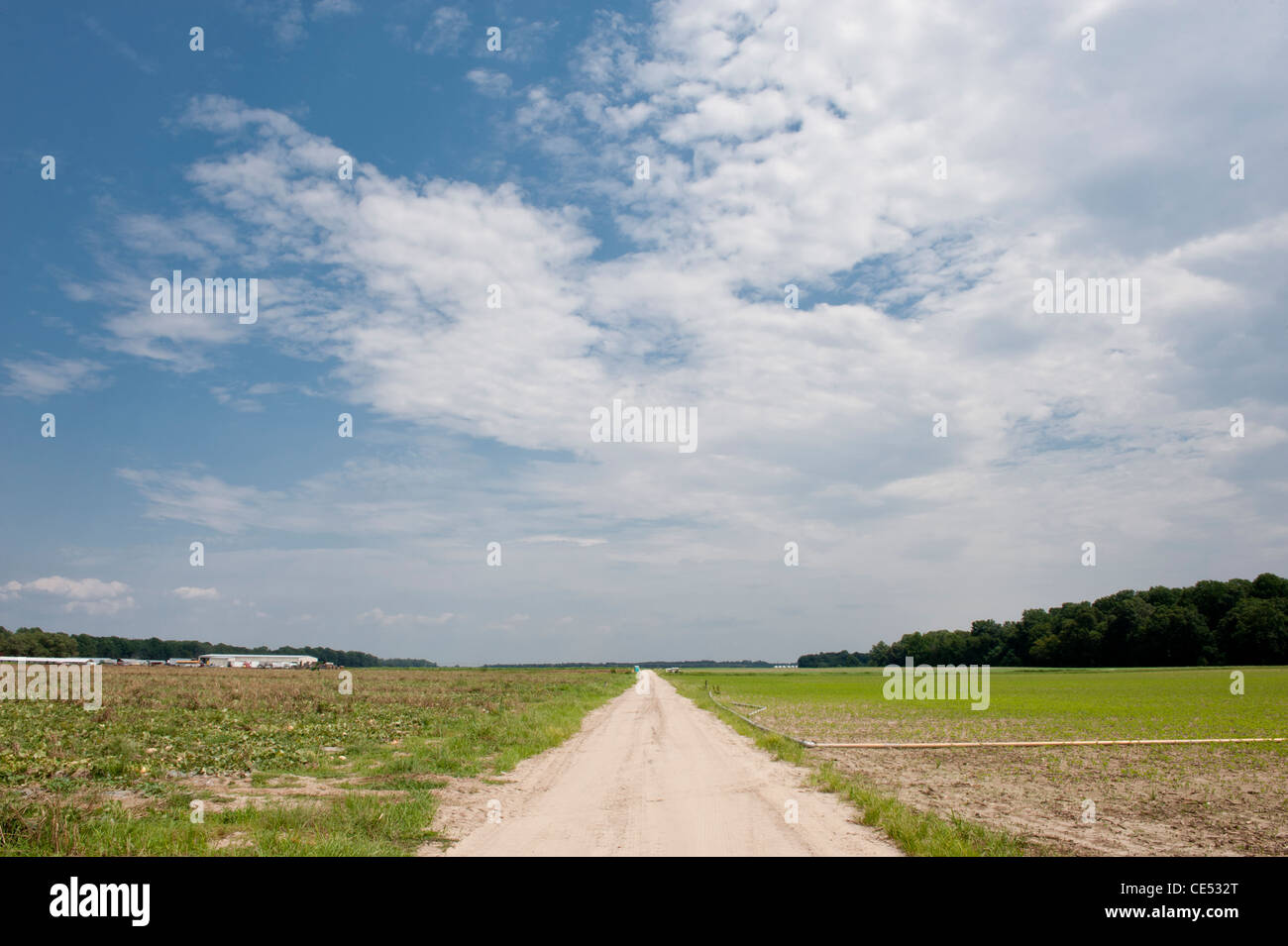 Strada di campagna che si allunga in un campo su una produzione di fattoria in Maryland Foto Stock