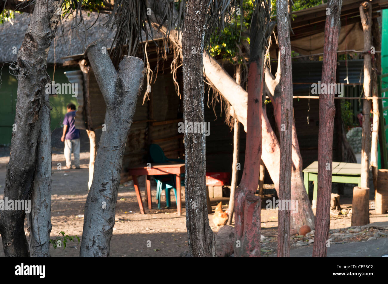 Monterrico, Guatemala, lo stile di vita. Foto Stock