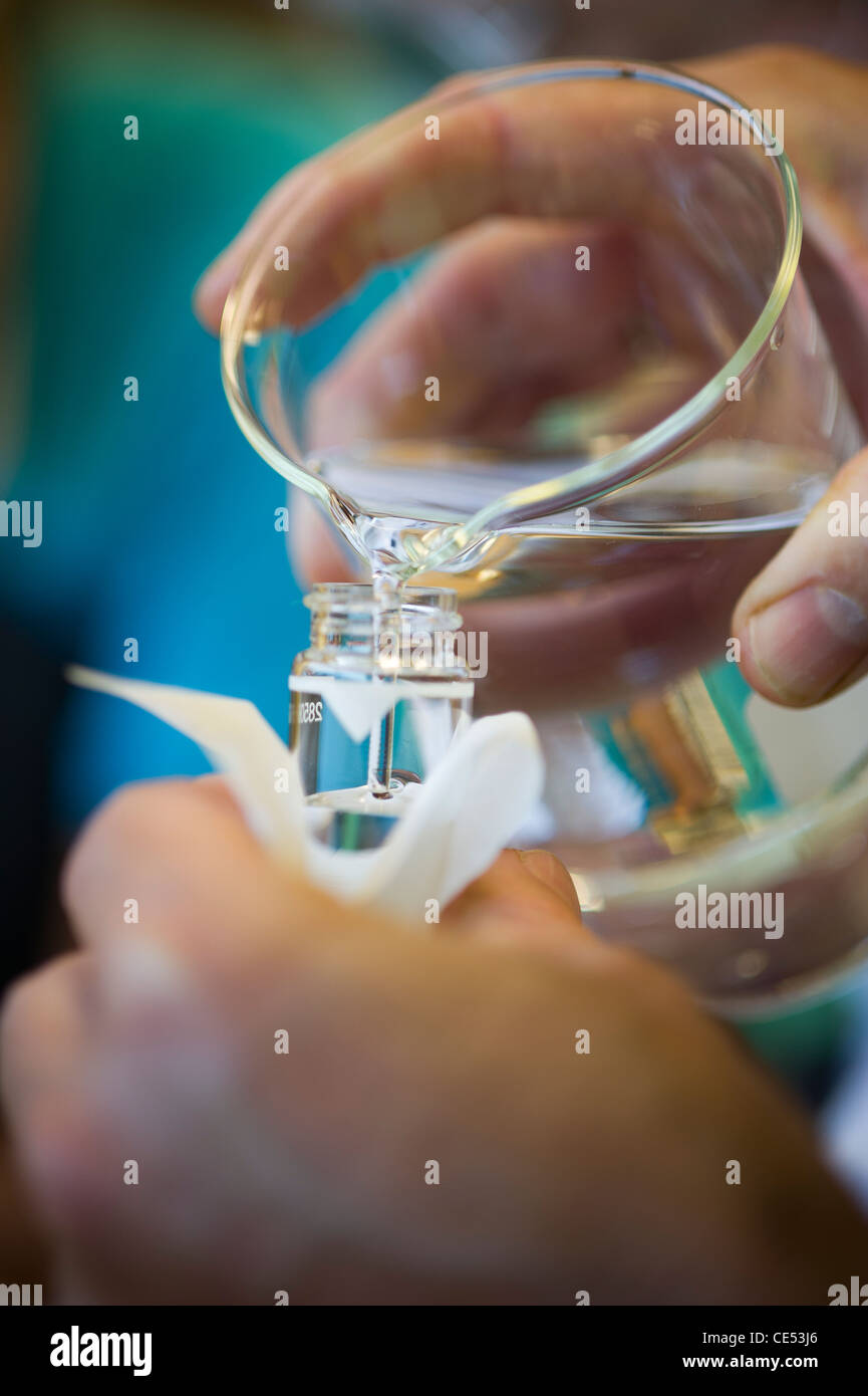 Le mani versando acqua dal bicchiere in una provetta di test in laboratorio presso la serra UMCP Foto Stock