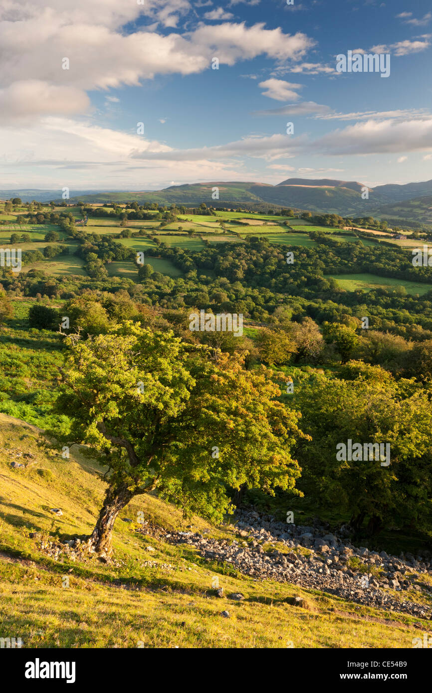 Le colline che circondano la valle Usk, Parco Nazionale di Brecon Beacons, POWYS, GALLES. Estate (Agosto) 2011. Foto Stock