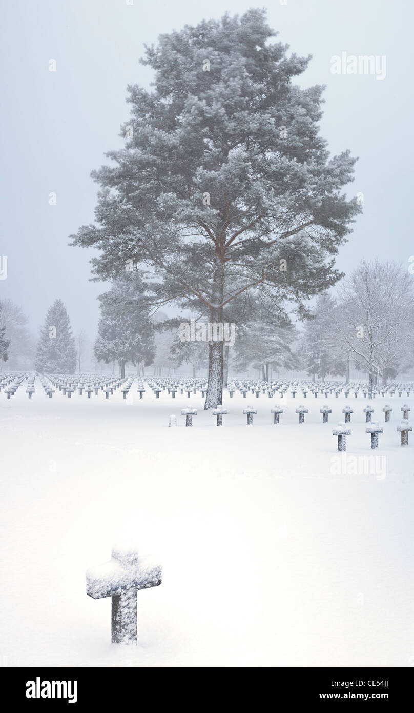 Attraversa e alberi a WW2 cimitero militare coperto di neve Foto Stock