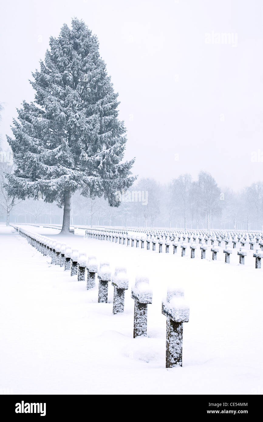 Attraversa e alberi a WW2 cimitero militare coperto di neve Foto Stock