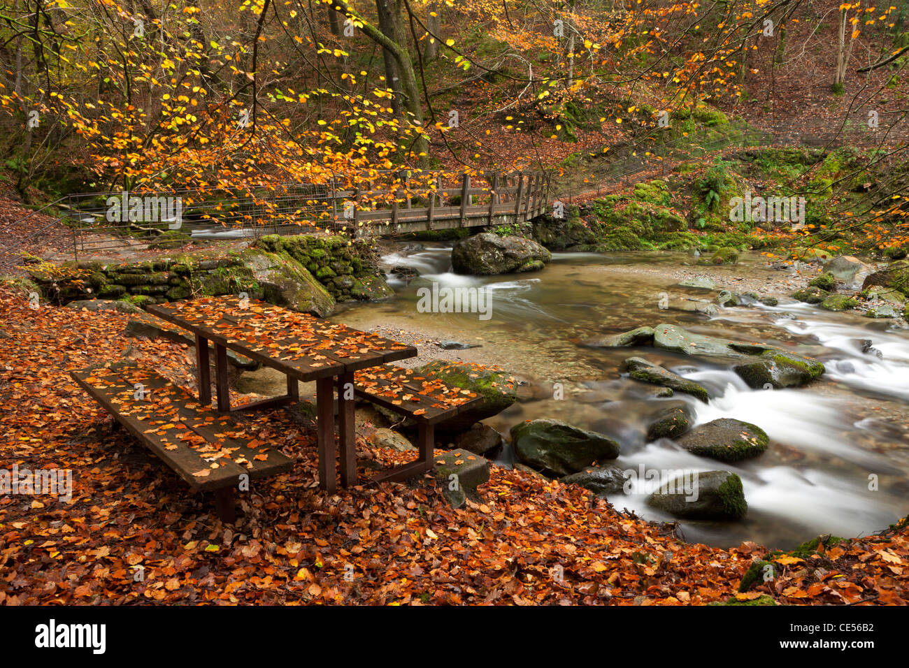 Banco di picnic accanto a Forza Stockghyll river, Ambleside, Lake District, Cumbria, Inghilterra. In autunno (novembre 2011). Foto Stock