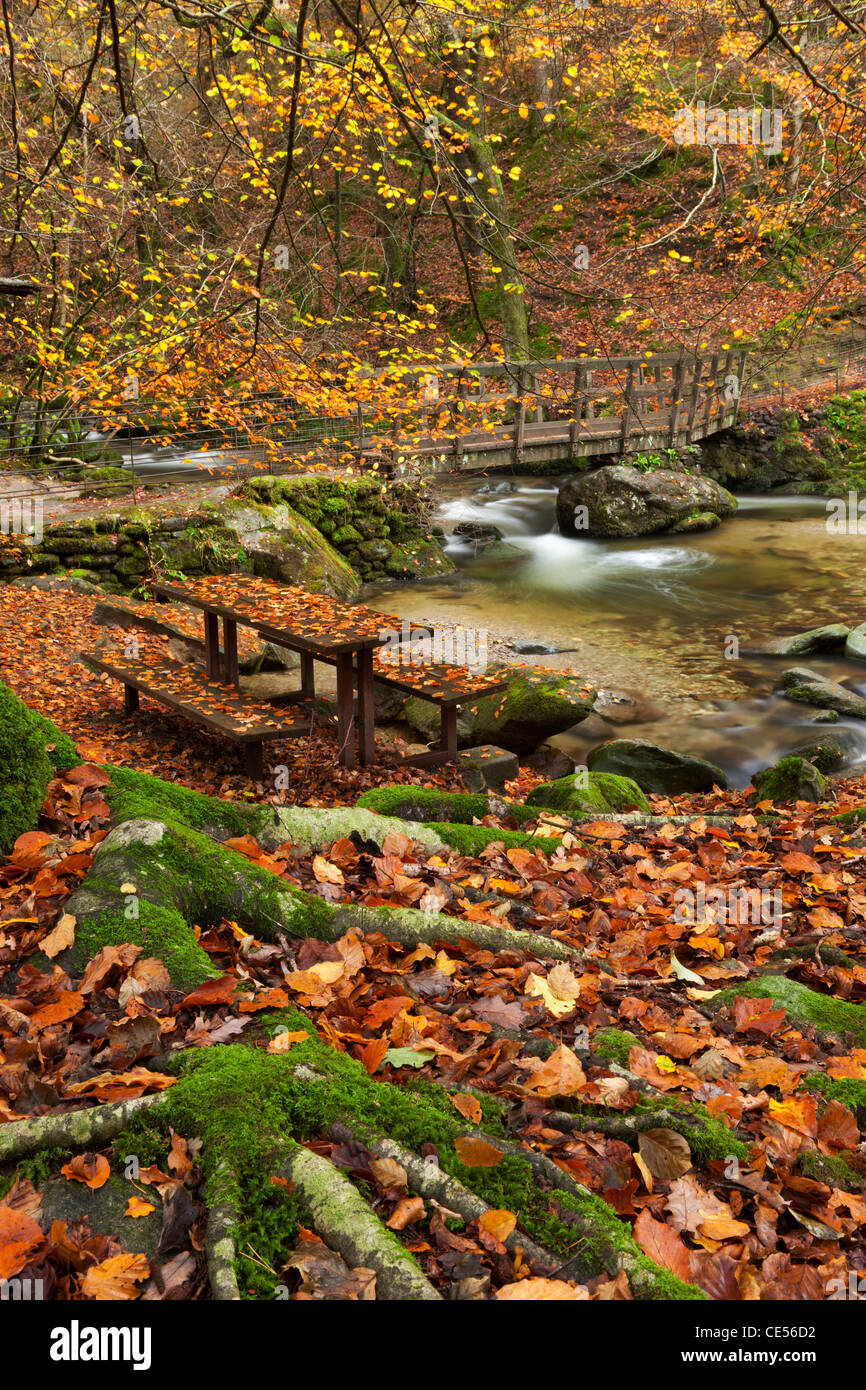 Banco di picnic e ponte in un bosco autunnale accanto a Stock Ghyll river, Ambleside, Lake District, Cumbria, Inghilterra. Foto Stock