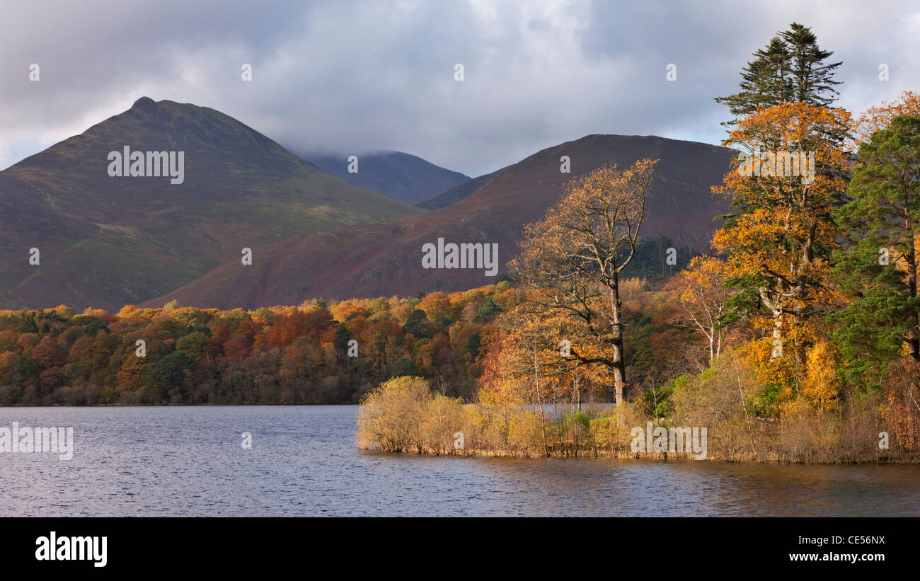 Il fogliame di autunno sulle rive del Derwent Water, Keswick, Lake District, Cumbria, Inghilterra. In autunno (novembre 2011). Foto Stock