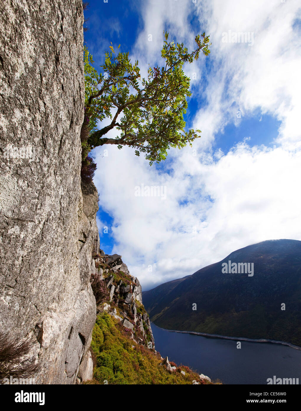 Mourne Mountains, Co. Down, Irlanda del Nord Foto Stock