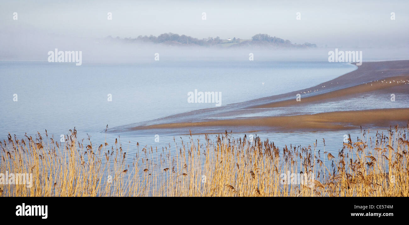Severn Estuary tra nitidezza e Purton nel Gloucestershire con la nebbia il sollevamento dal fiume Foto Stock