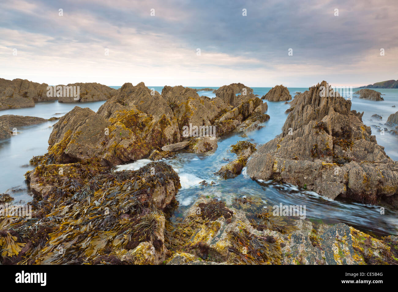 Sponde rocciose di Bantham al crepuscolo, Bantham, South Devon, Inghilterra, Regno Unito, Europa Foto Stock