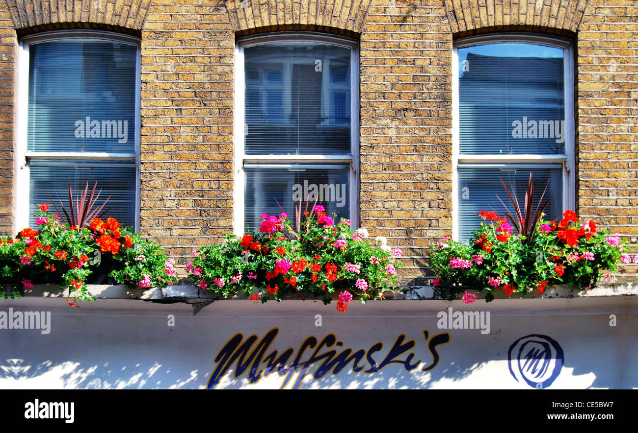 Scatole di finestra in Covent Garden di Londra, Inghilterra, sopra Muffinski muffin del negozio. Foto Stock