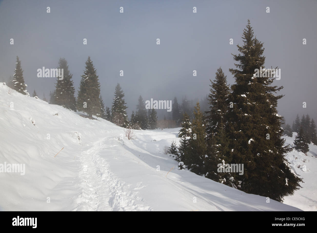 Sentiero in montagne invernali Foto Stock