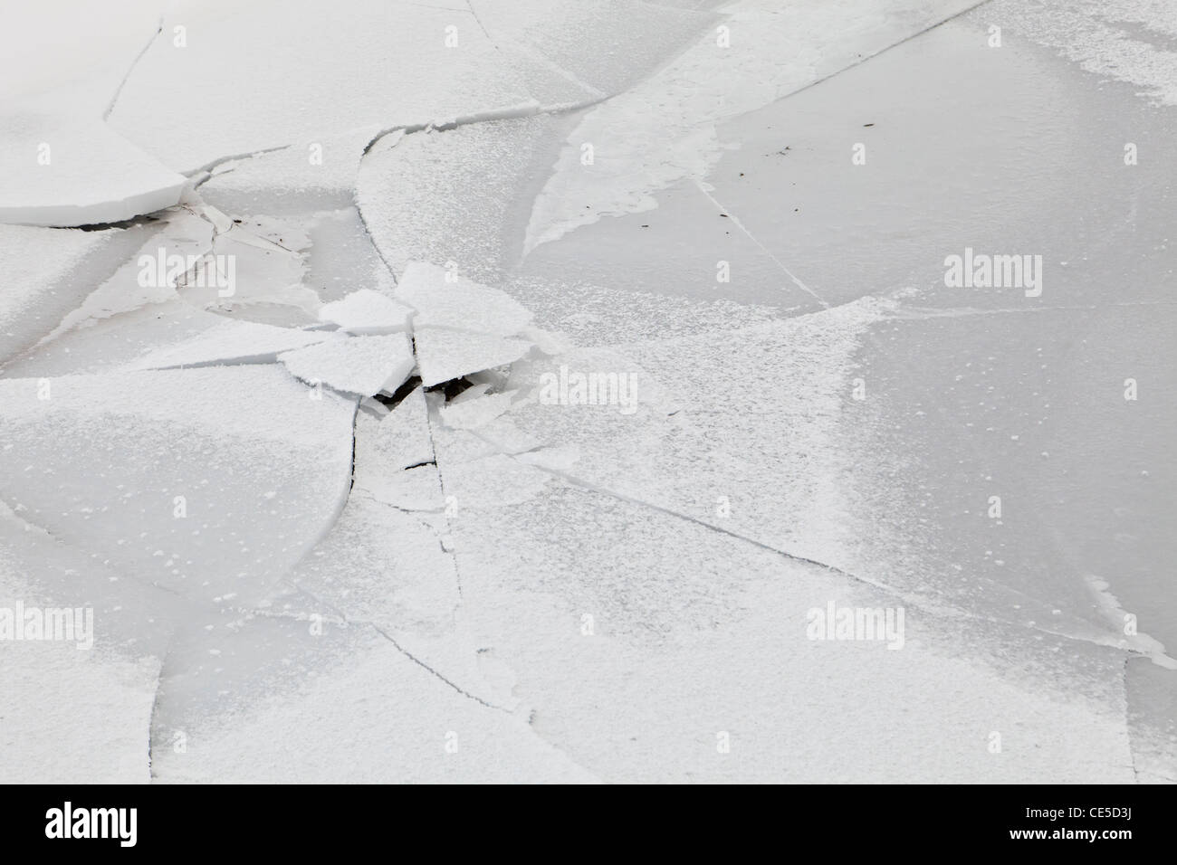 Un Congelato stagno che è collassata e fratturato in a pezzi. Foto Stock