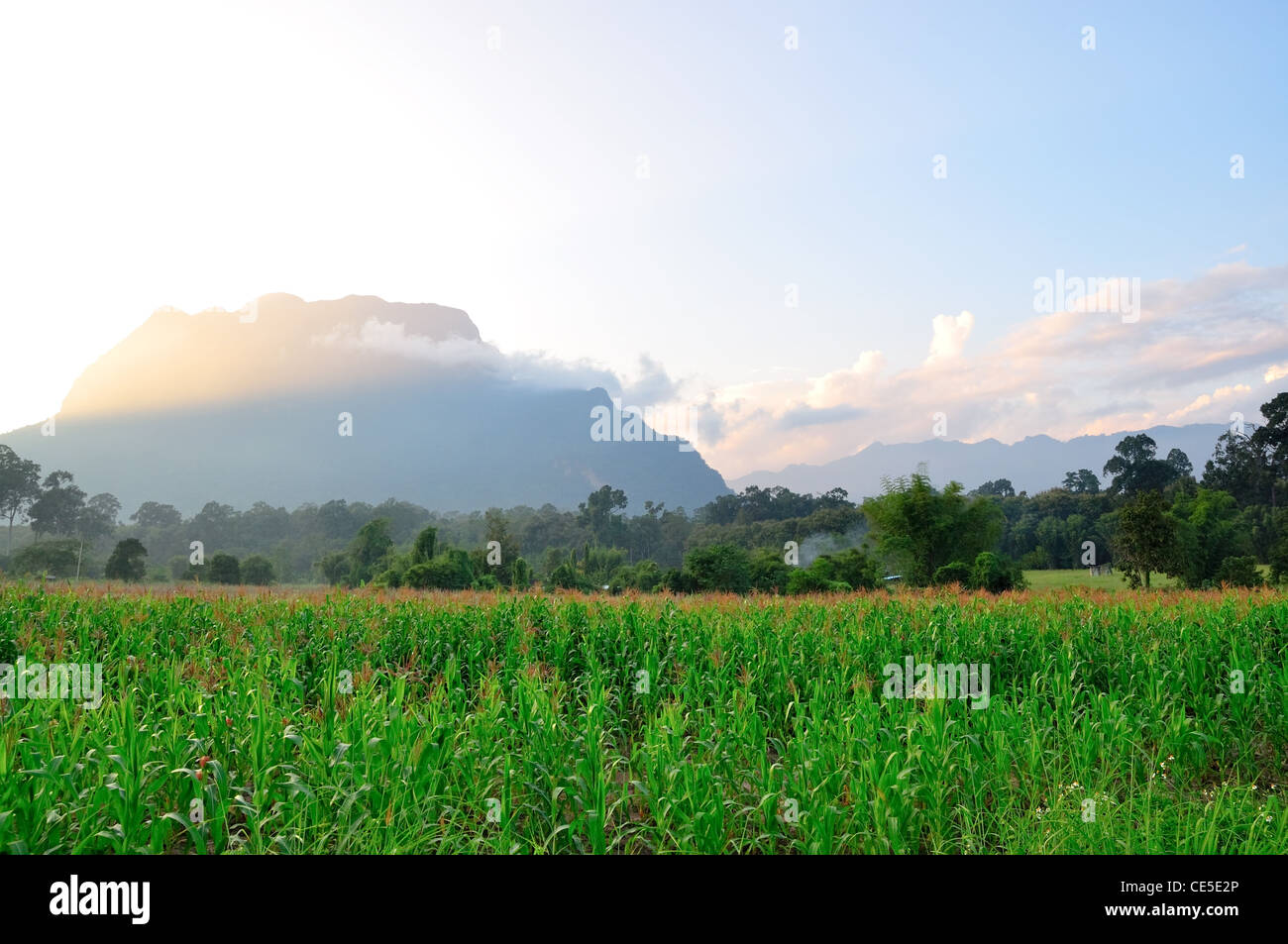 Scena di 'Chiang Dao' mountain, Thailandia Foto Stock