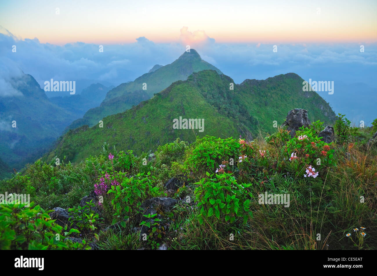 Scena di 'Chiang Dao' mountain, Thailandia Foto Stock