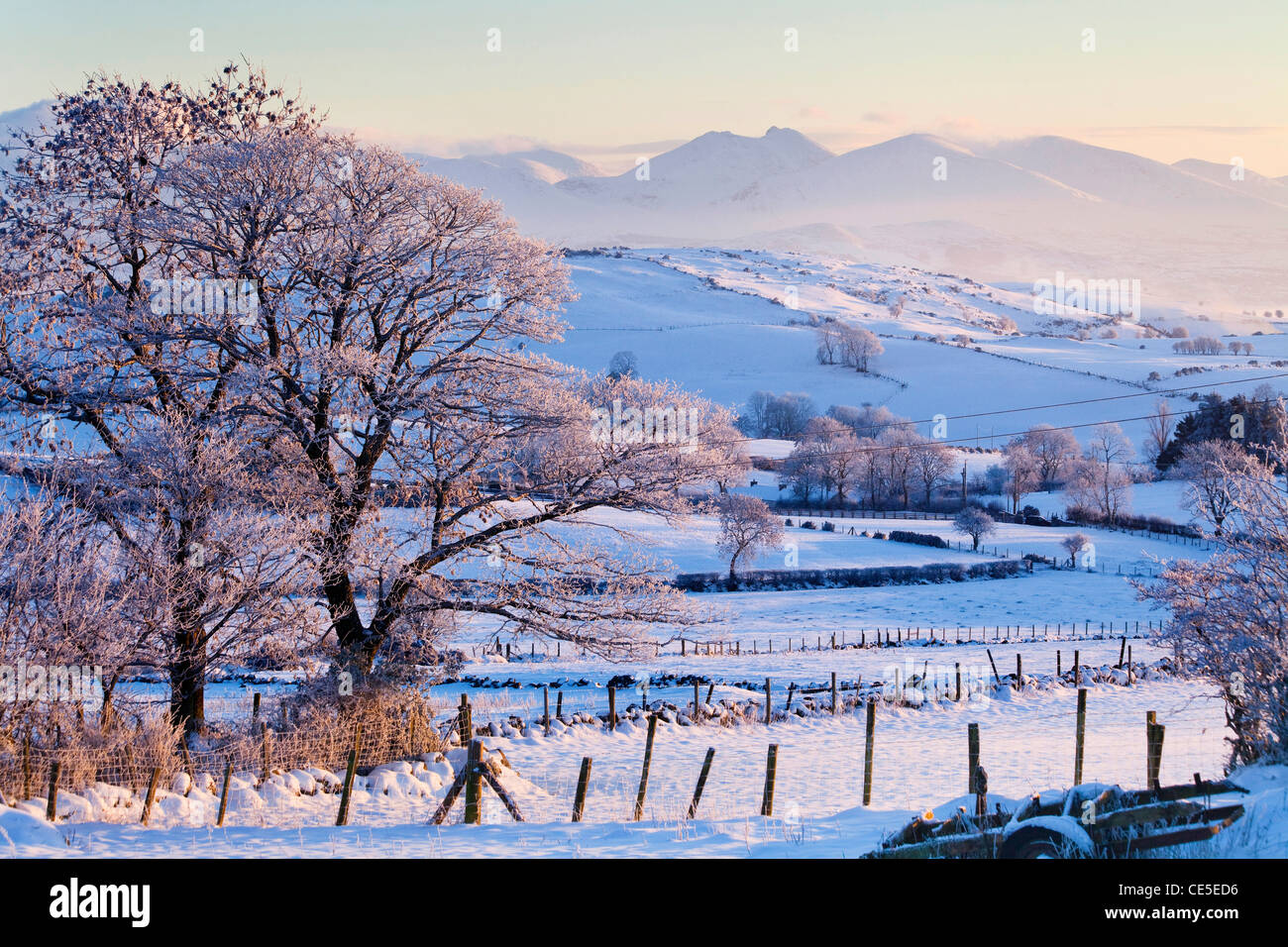 La contea di Down snowscape, Irlanda del Nord Foto Stock