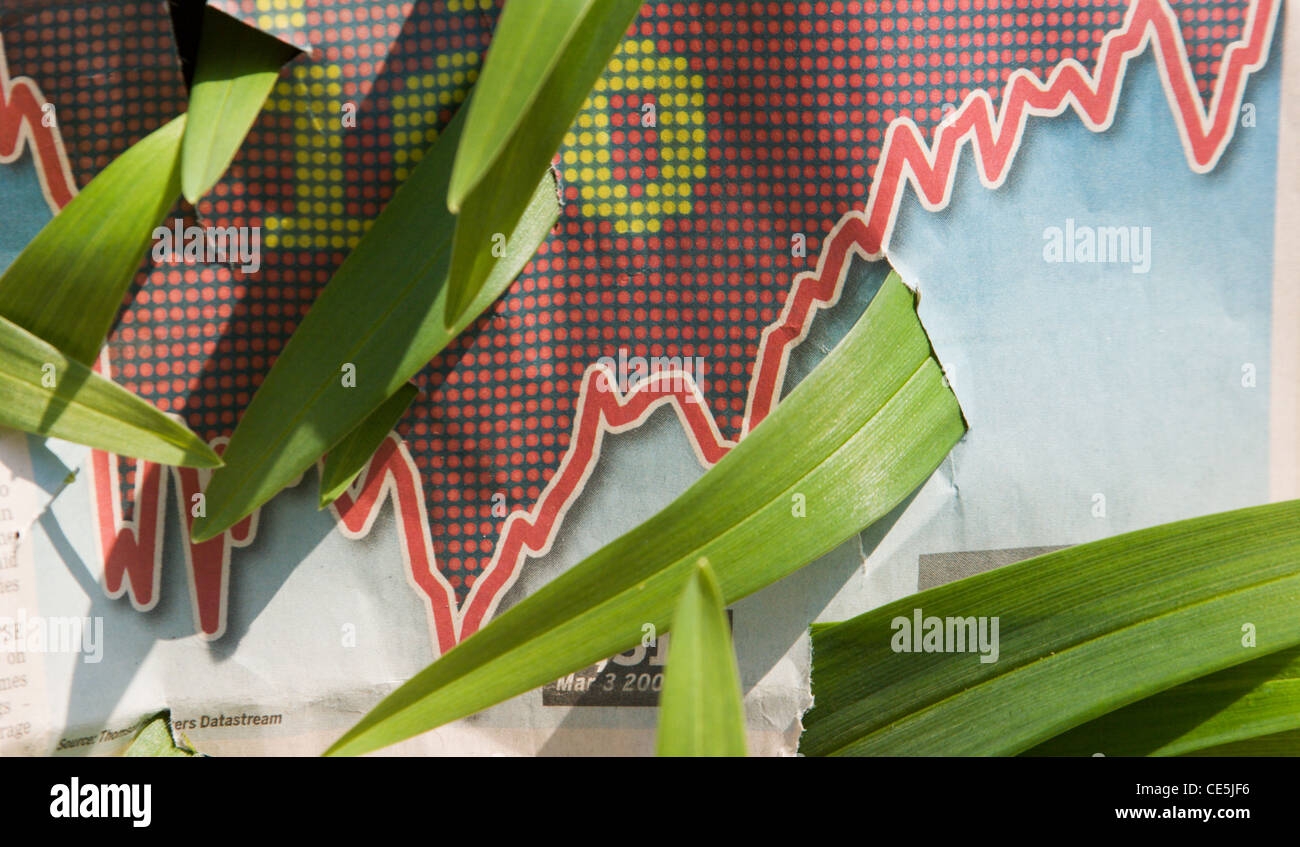 Germogli verdi di ripresa economica Foto Stock