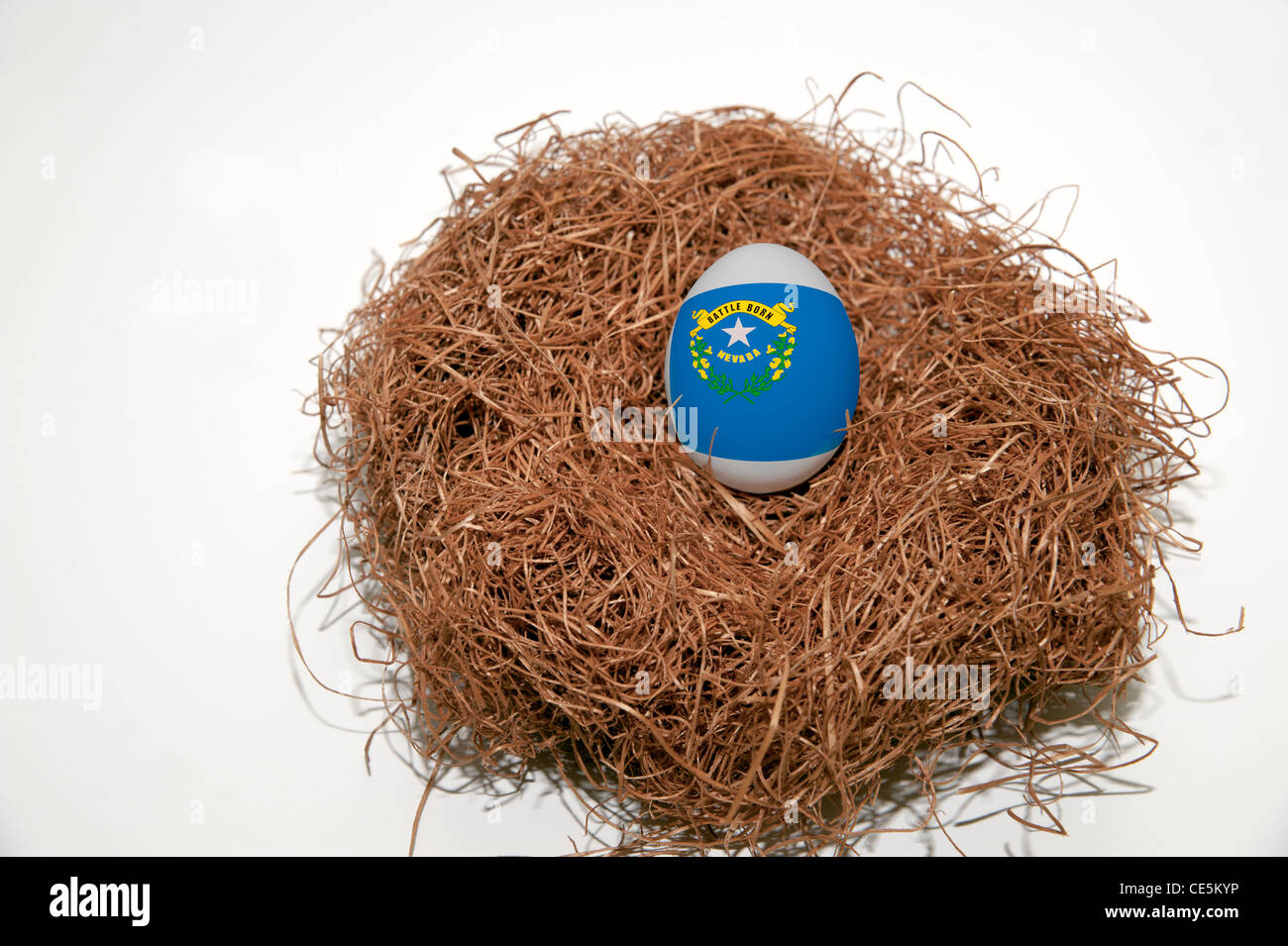 Uovo di nido con la bandiera di uno stato degli Stati Uniti d'America Foto Stock