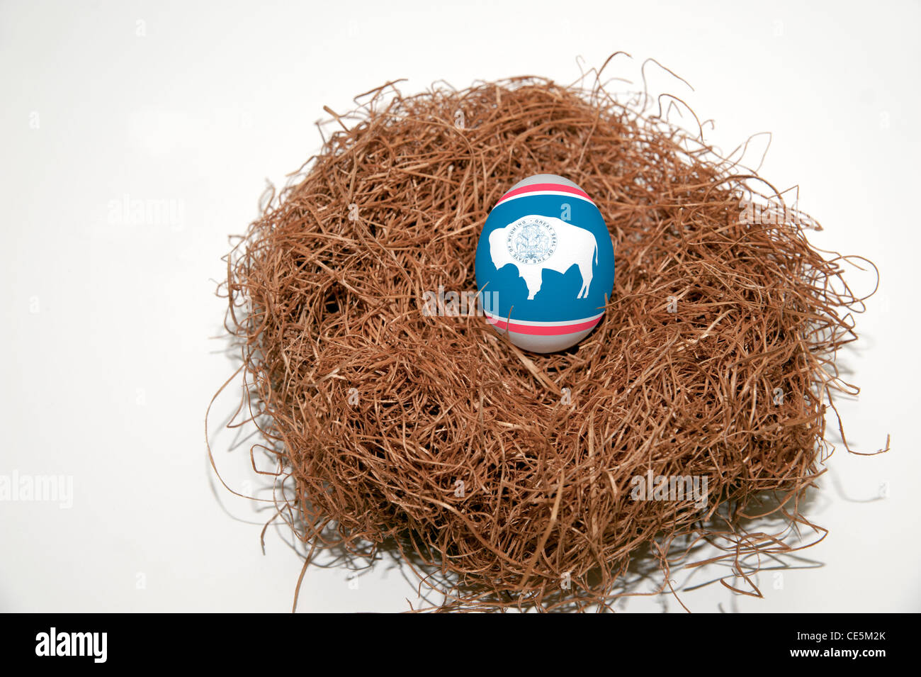 Uovo di nido con la bandiera di uno stato degli Stati Uniti d'America Foto Stock