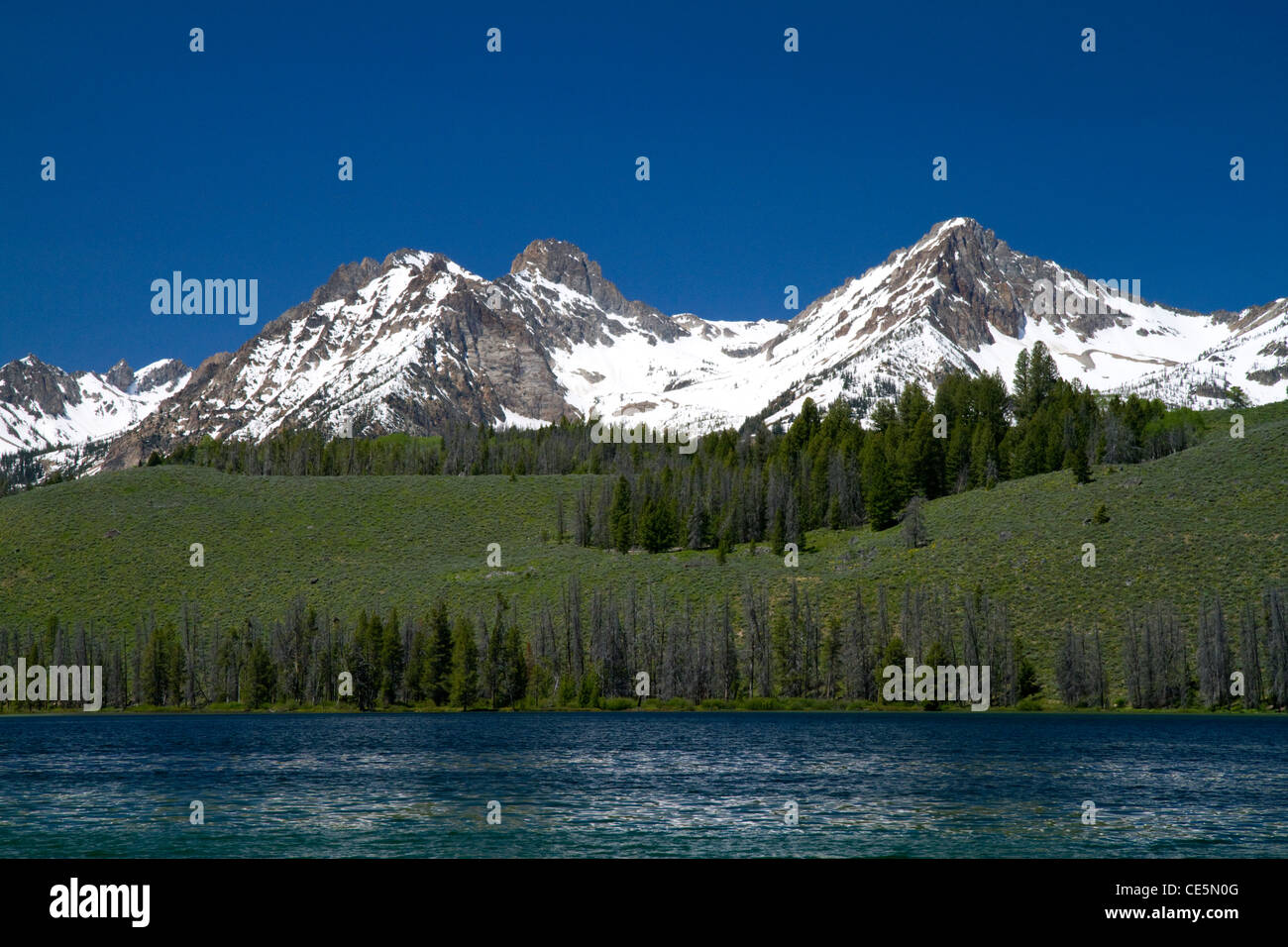 Piccolo lago dello scorfano e il dente di sega a catena montuosa situata nella contea di Custer, Idaho, Stati Uniti d'America. Foto Stock