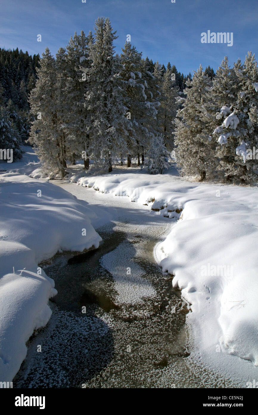 Round Valley Creek durante l'Inverno in Valle County, Idaho, Stati Uniti d'America. Foto Stock