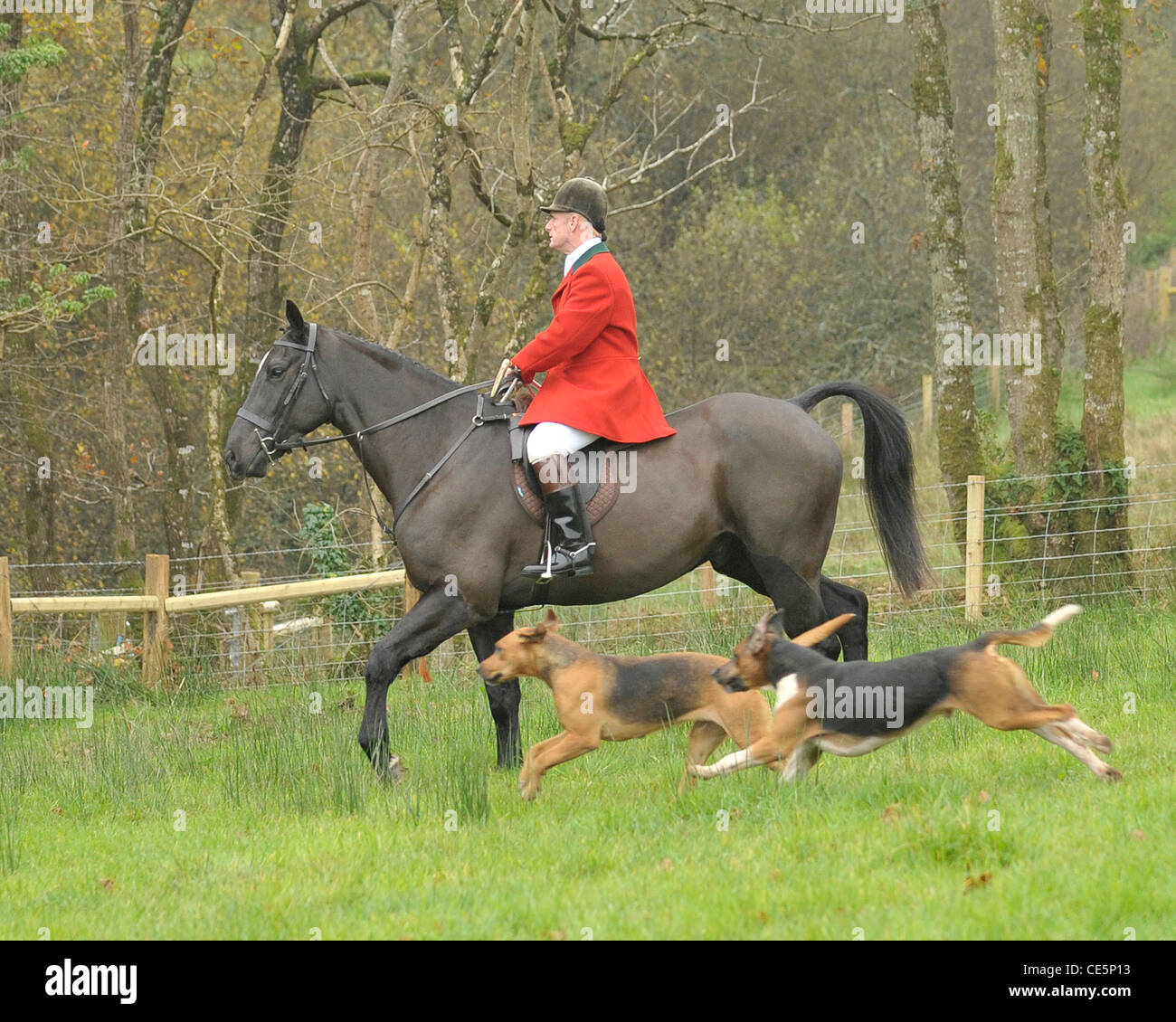 HUNTSMAN e i suoi segugi Foto Stock