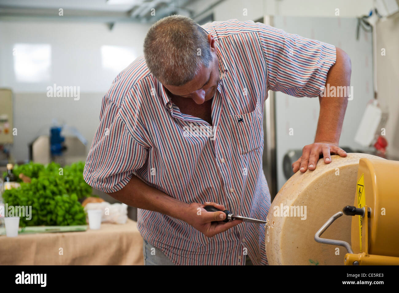 Fare freschi pesto. Sacco Giovanni Battista. Un hotel a conduzione familiare di basilico commerciale coltivatore. Genova. Italia Foto Stock