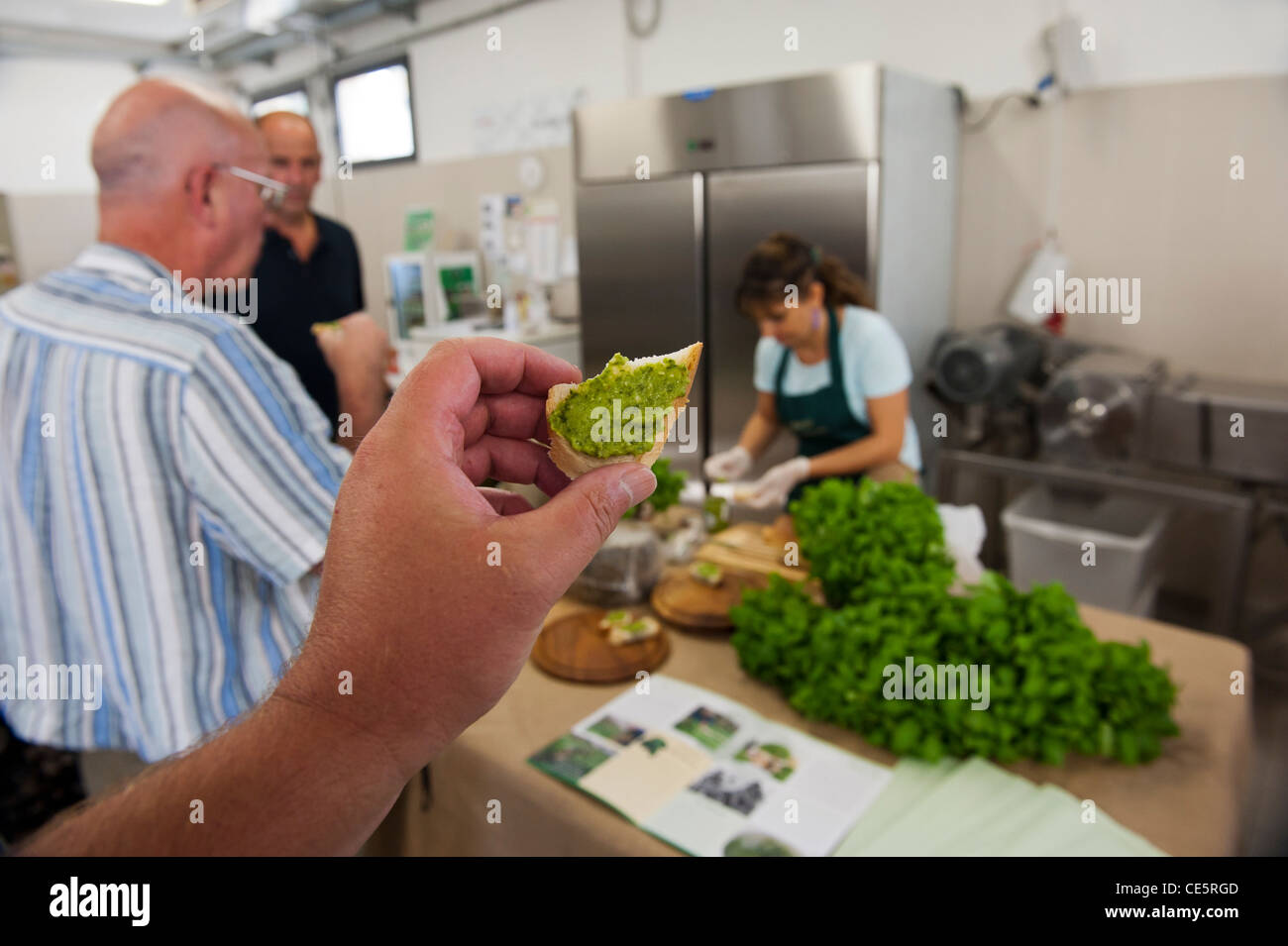 La preparazione di freschi pesto. Sacco Giovanni Battista. Un hotel a conduzione familiare di basilico commerciale coltivatore. Genova. Italia Foto Stock