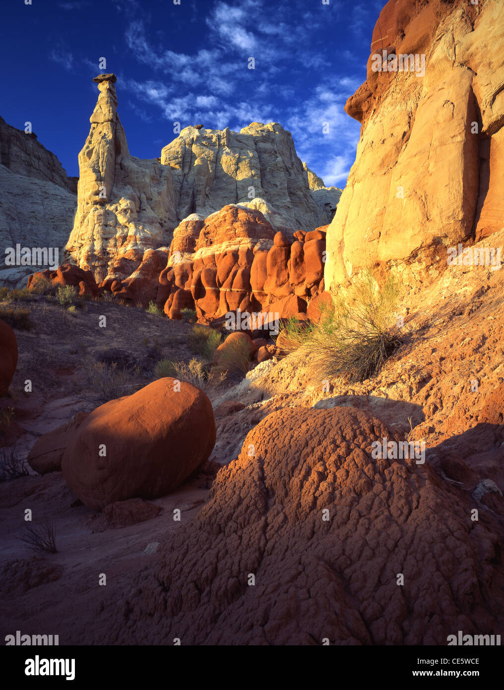 Hoodoos, cap rocce e toad sgabelli a nord della HWY 89 vicino Paria Visitor Centre in grande scala Escalante monumento nazionale Foto Stock