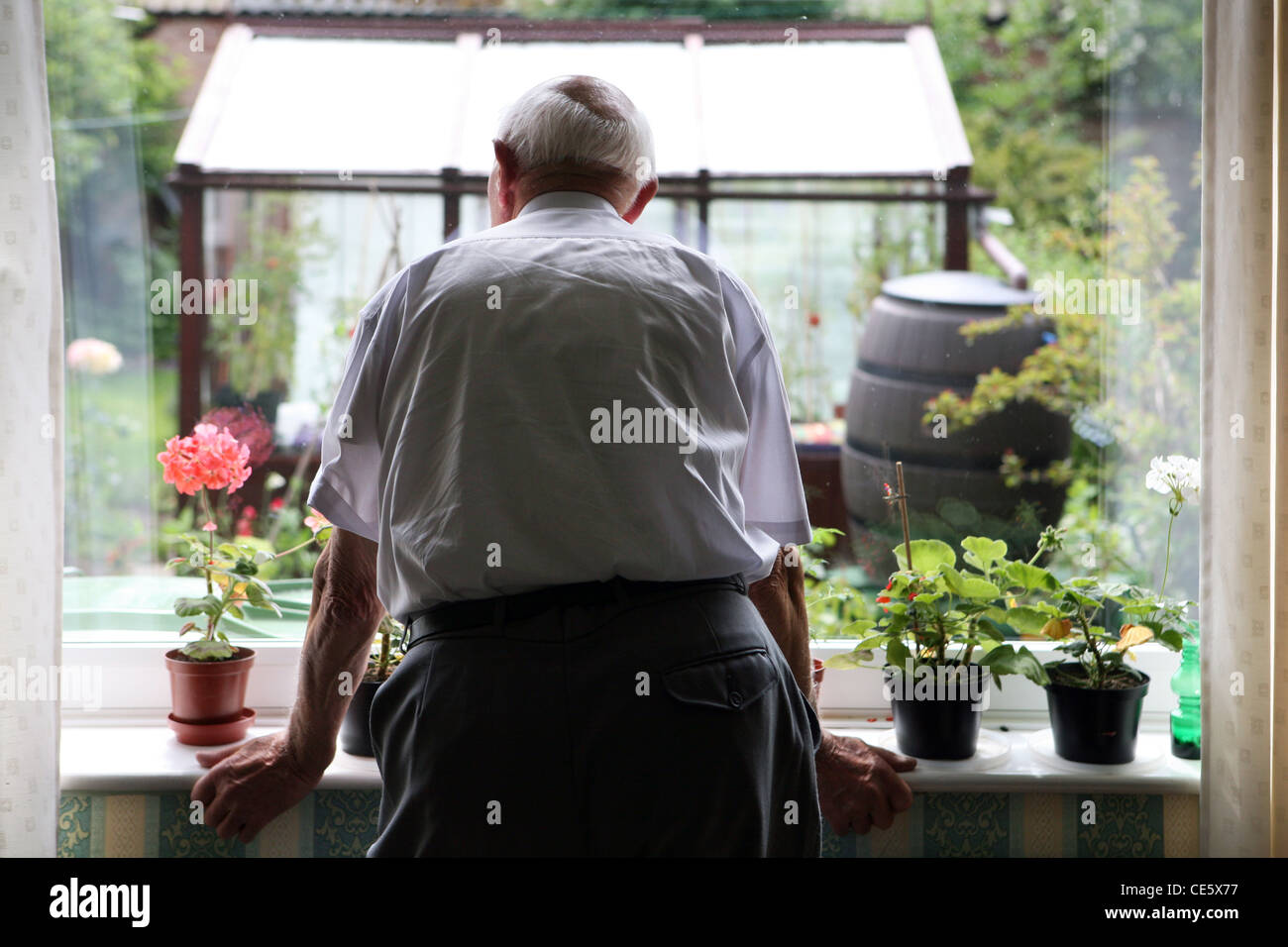 Titolare di una pensione o di una rendita guardando fuori della sua finestra al suo giardino serra. Foto Stock