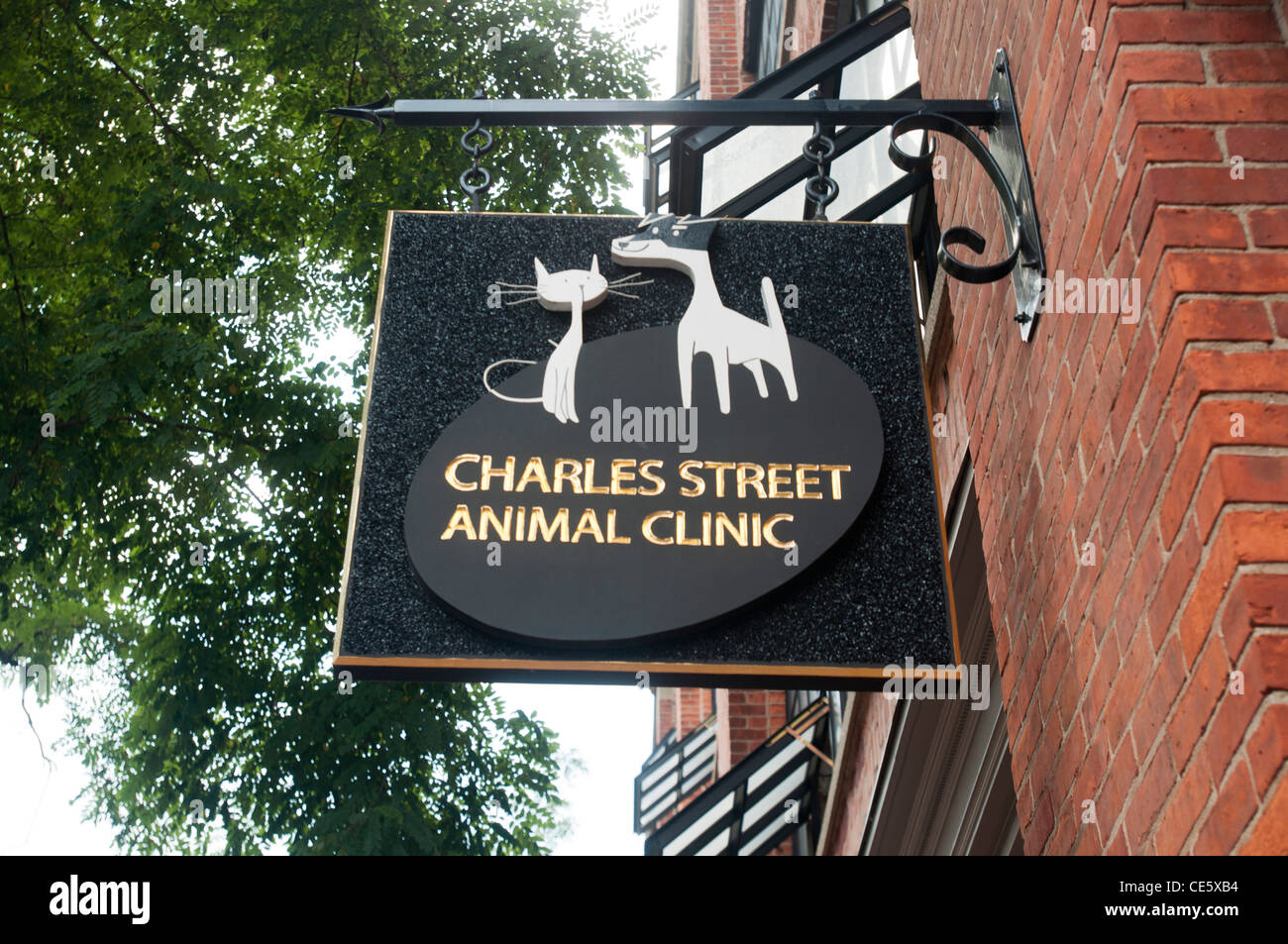 Cartello della Charles Street Animal Clinic con illustrazione di cane e gatto, Beacon Hill, Boston, Massachusetts. Cartello appeso sulla facciata di un edificio in mattoni. Foto Stock