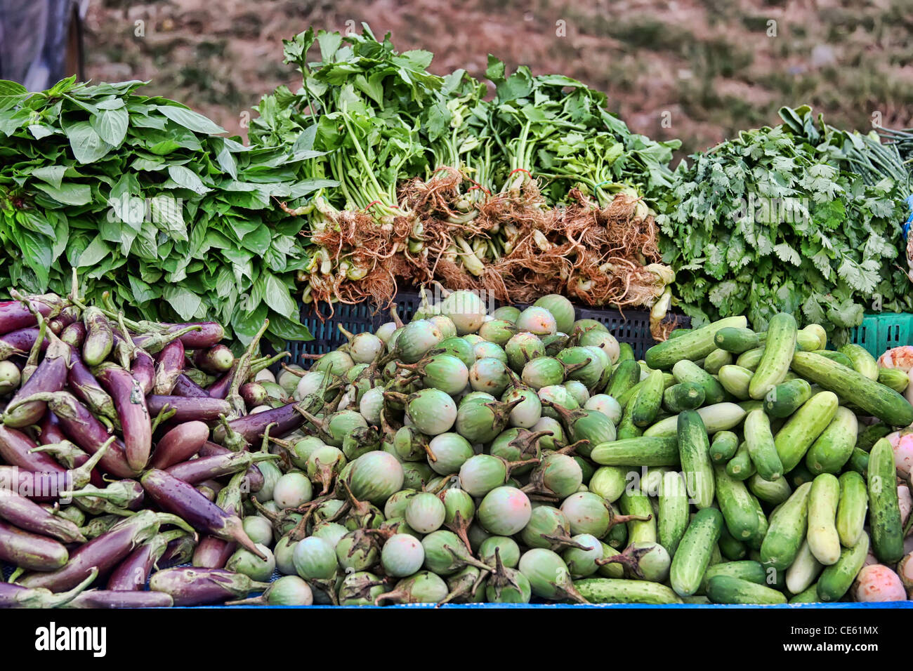 Assortimento di prodotti freschi del mercato tailandese verdure ed erbe Foto Stock