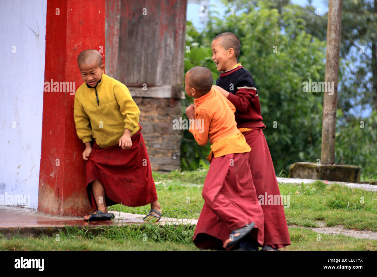 Giovane monaco, il Sikkim Foto Stock